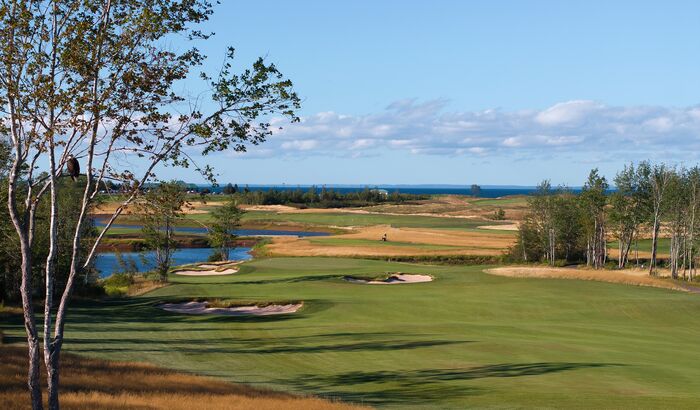 The 8th hole on the Vineyard Course seen past a birch with an eagle perched in it: bunkers, a pond and the Strait in the distance